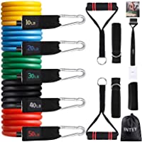 INTEY Bandas Elásticas- 13 PCS Látex Bandas de Resistencia - 5 Tubos de látex-Cubierta Protectora-Manijas-Ancla de…